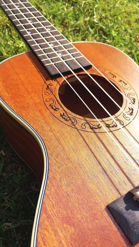 Ranch Soprano Ukulele Kit for Beginners