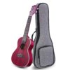 Ranch Pitaya Red Concert Ukulele with Padded Gig-Bag